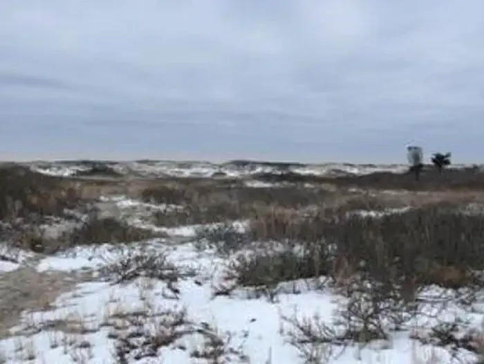 Fire Island National Seashore Permits