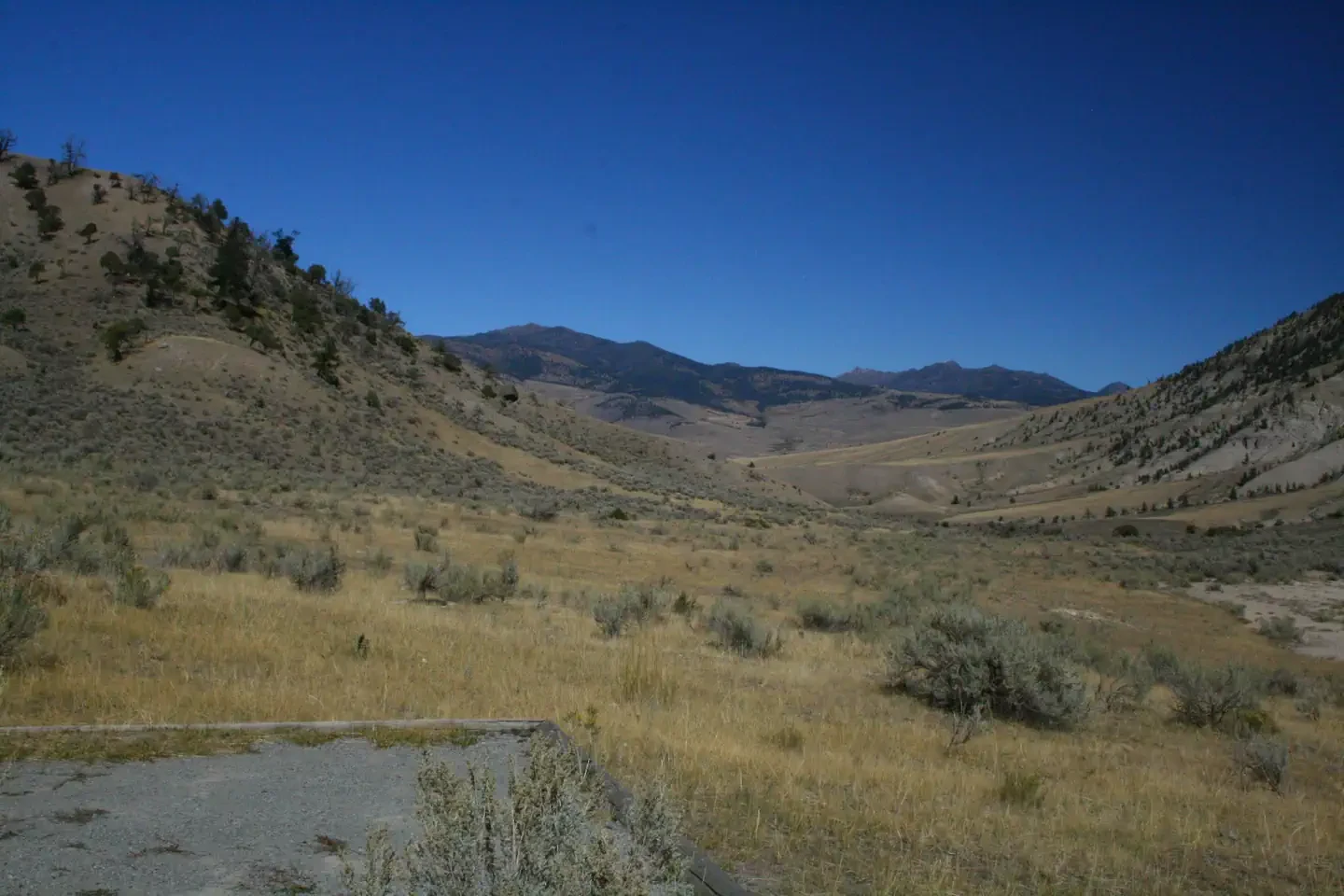 Mammoth Campground (Yellowstone)