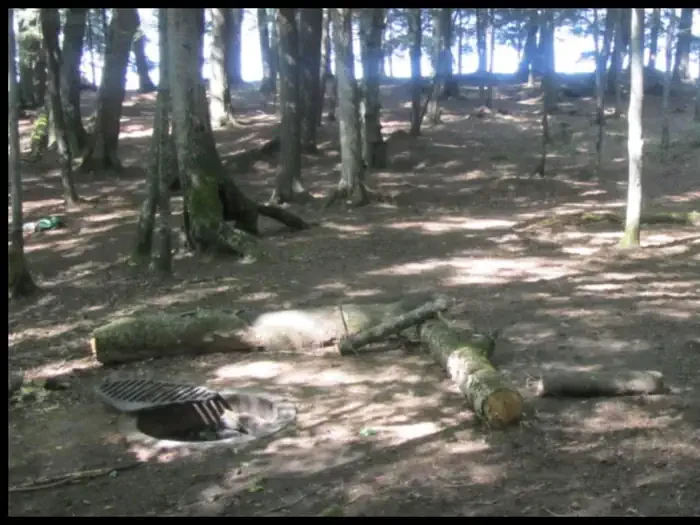 BEAVER-2
