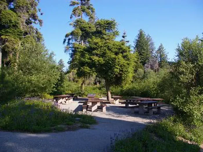 Shafer Butte