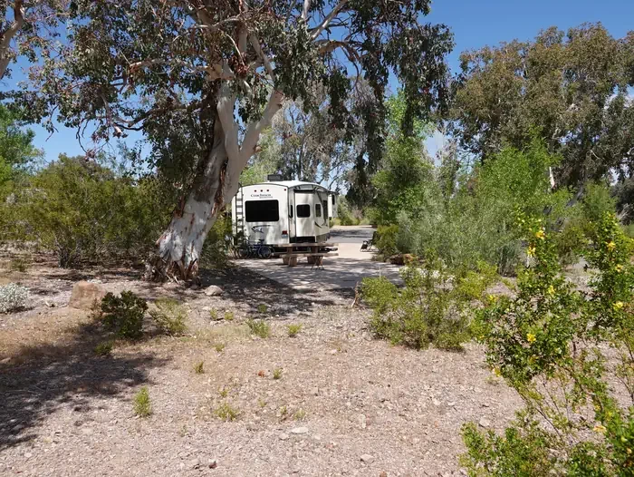 Site 14