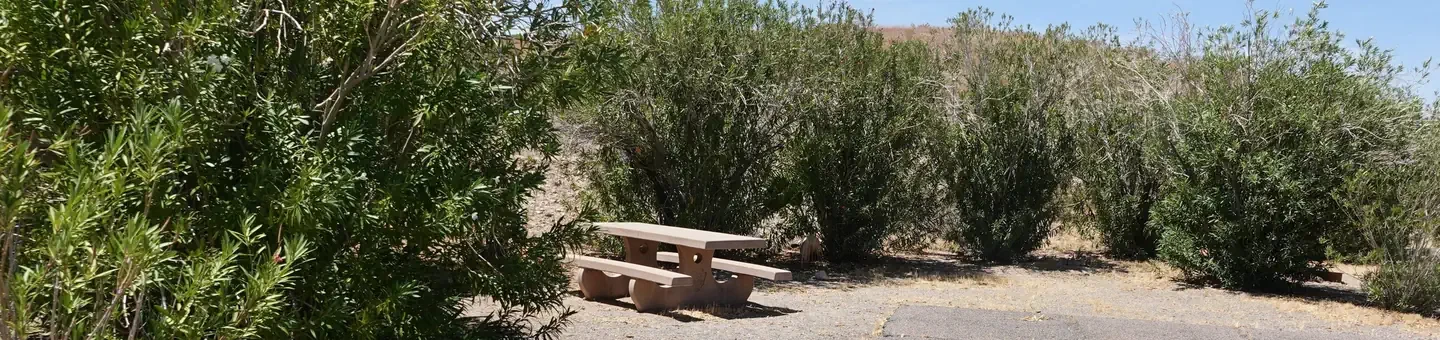 Site 15