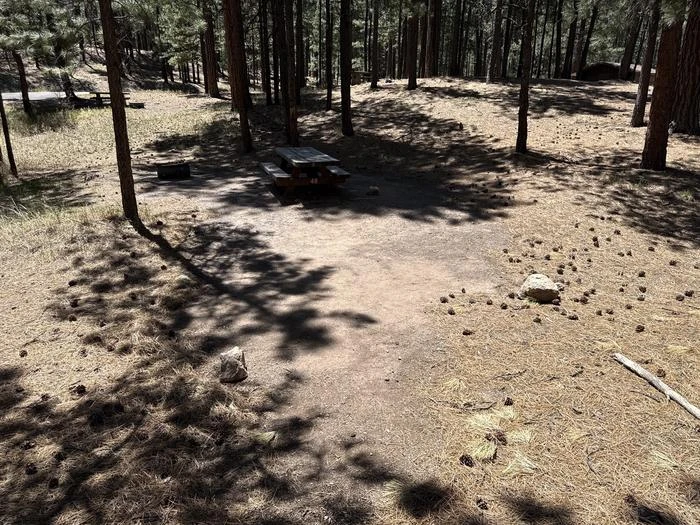 48