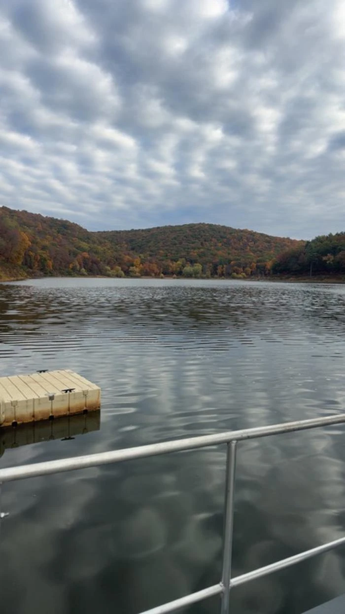 Tionesta Rec. Area Campground