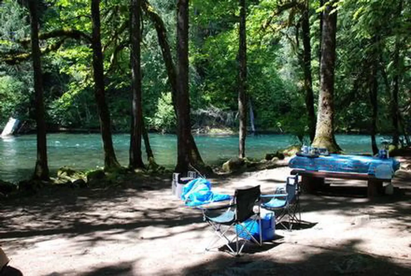 Paradise in Oregon