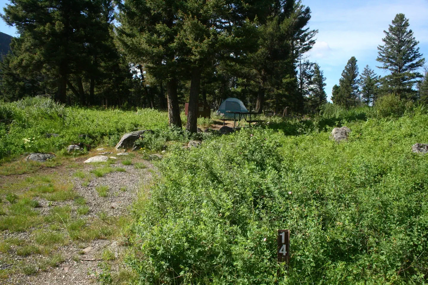 Slough Creek site #14