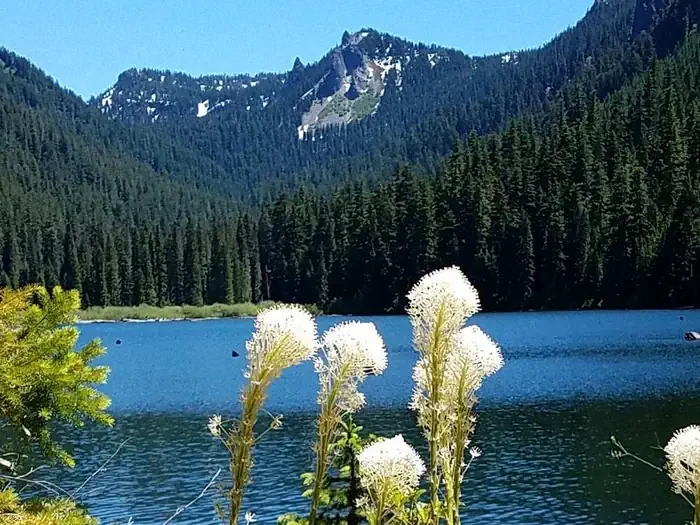 Mt. Jefferson - Pamelia Lake Trailhead