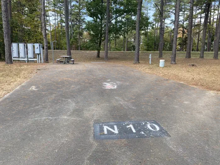 N10