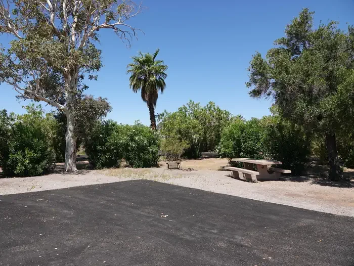 Site 23