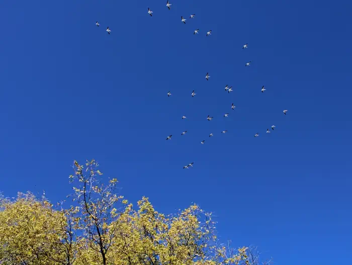 Cottonwood Recreation Area