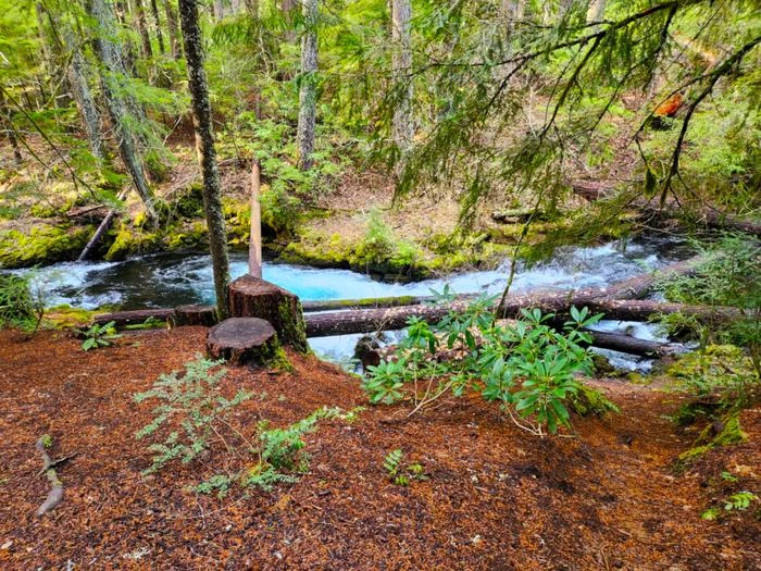 Whitehorse Falls Campground