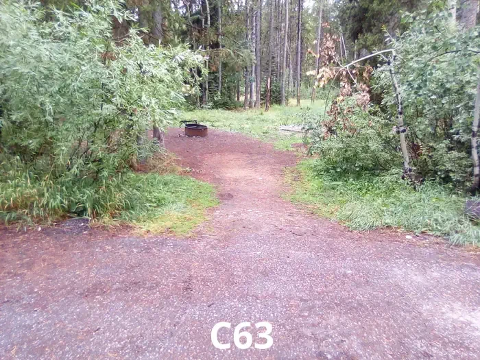 63