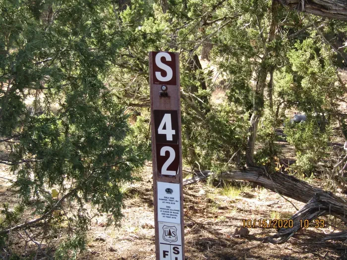 42