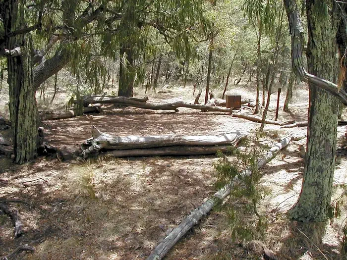 Juniper Can. 1