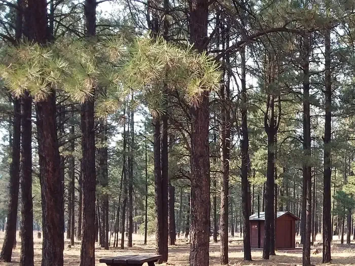 GSB.