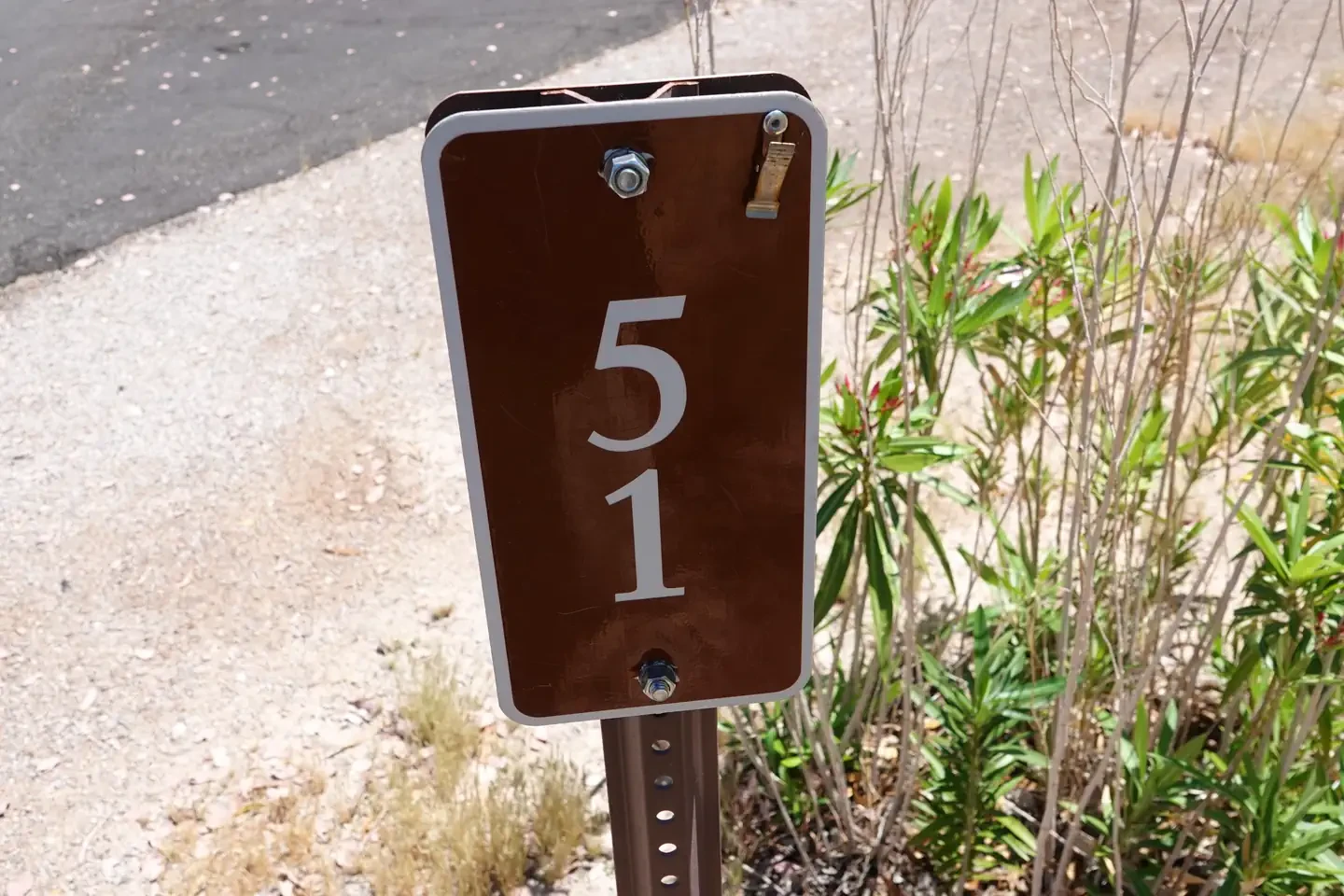 Site 51