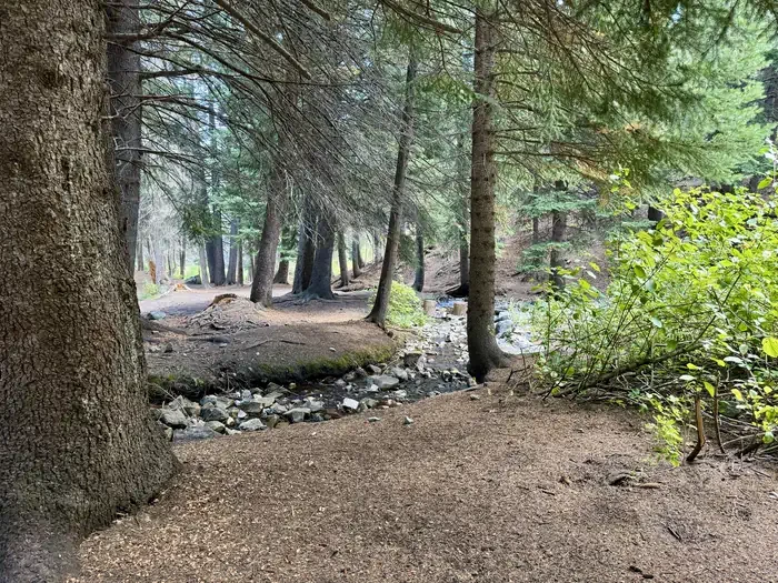 Group Site 2
