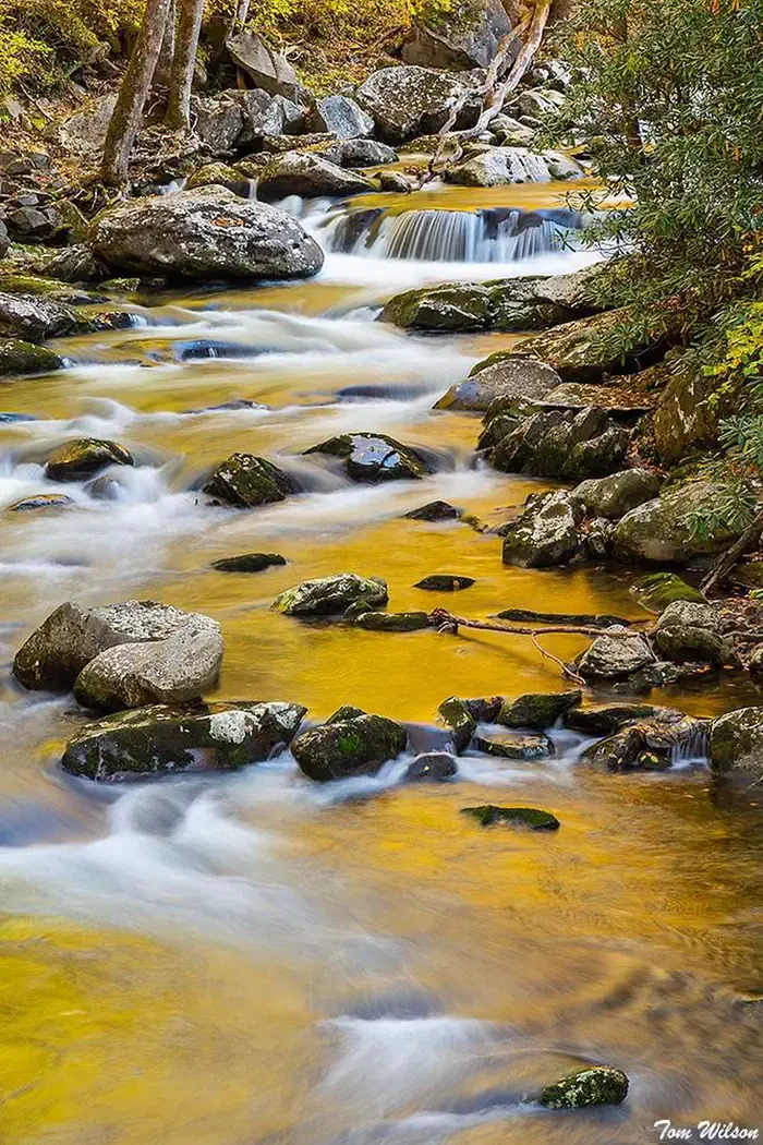 Cades Cove Campground