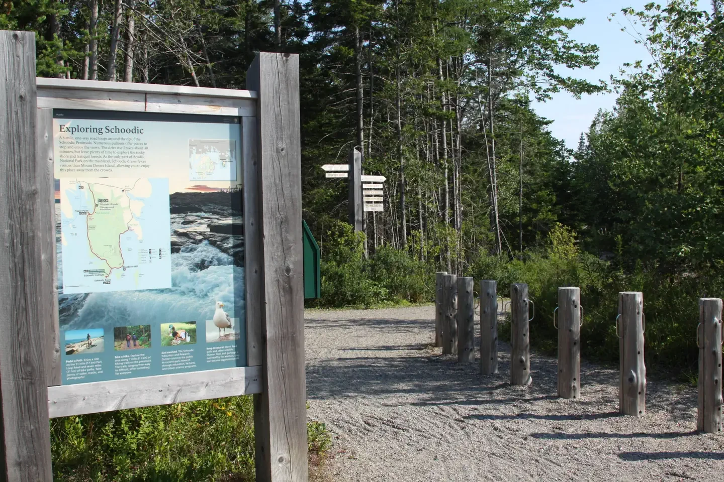 Schoodic Woods Campground