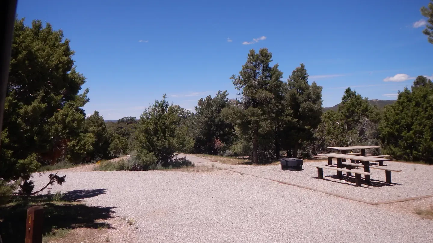 Ward Mtn. Campground (murray Summit)