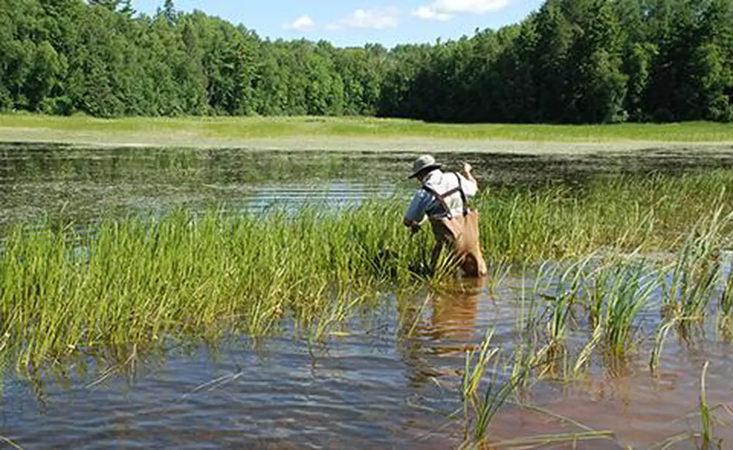 Lake Superior Estuarine Research Reserve