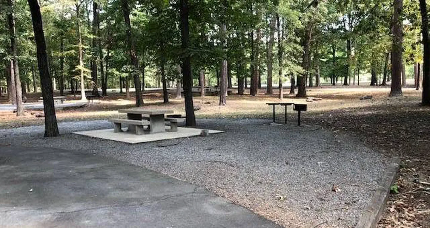 A13