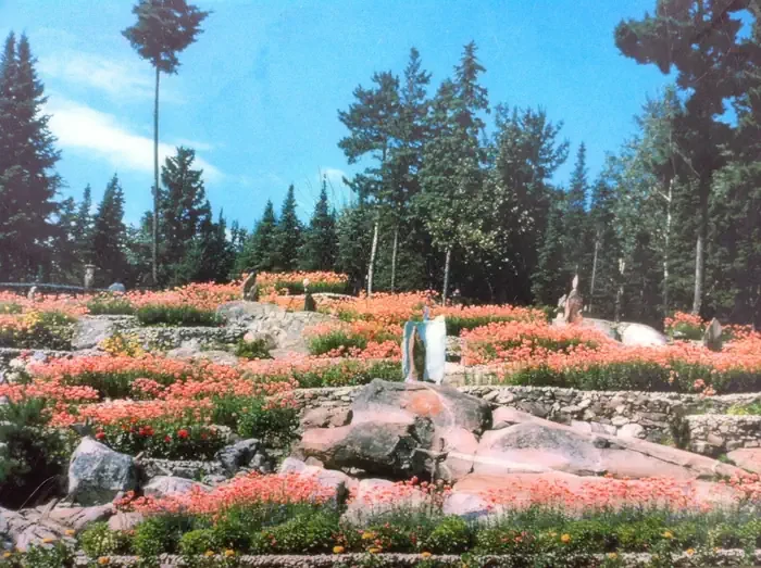 Ellsworth Rock Gardens Tour and Eagle Watch