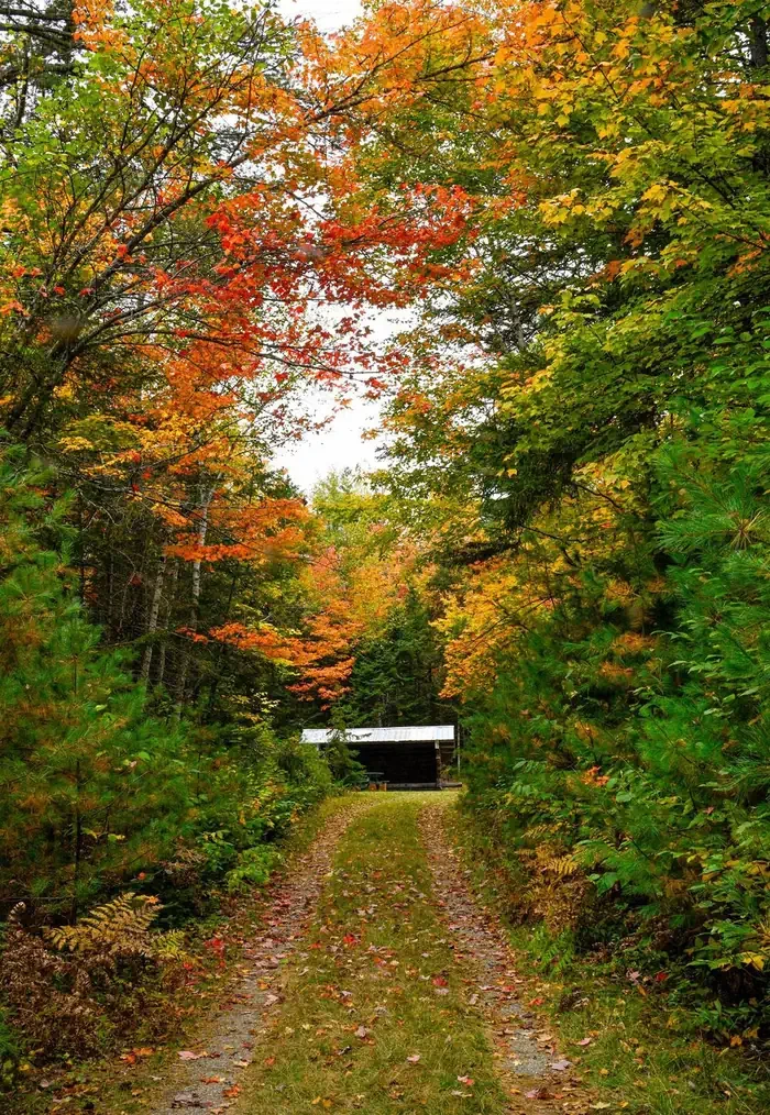 Wassataquoik Lean-to