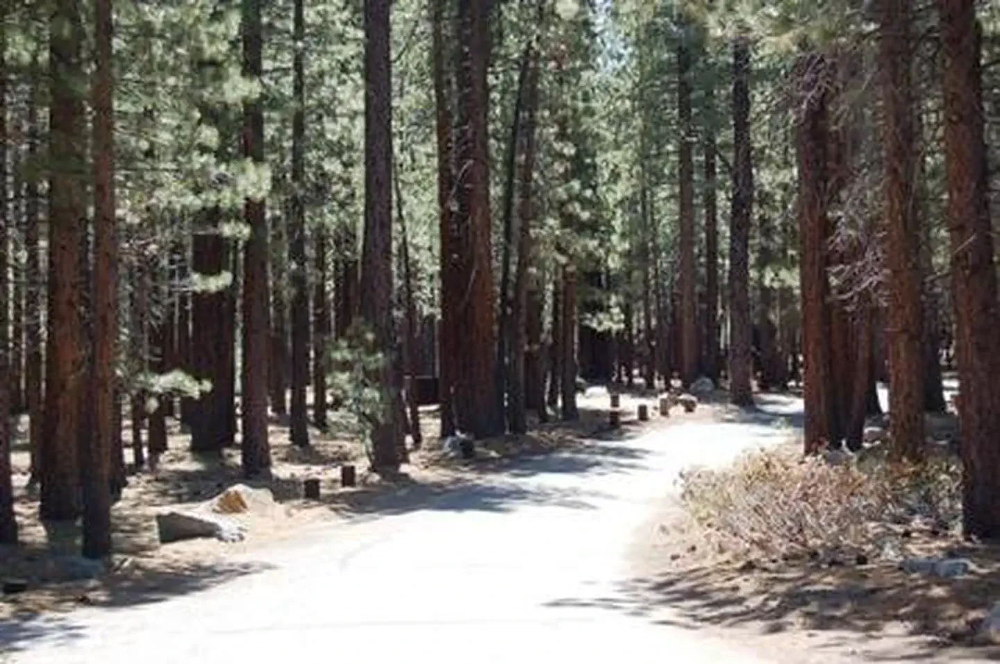 Old Shady Rest Campground