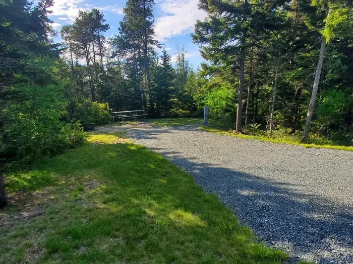 A19