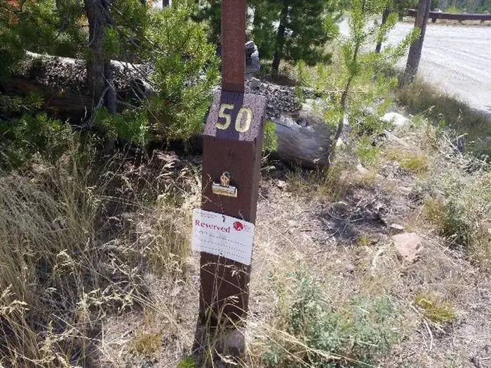 050