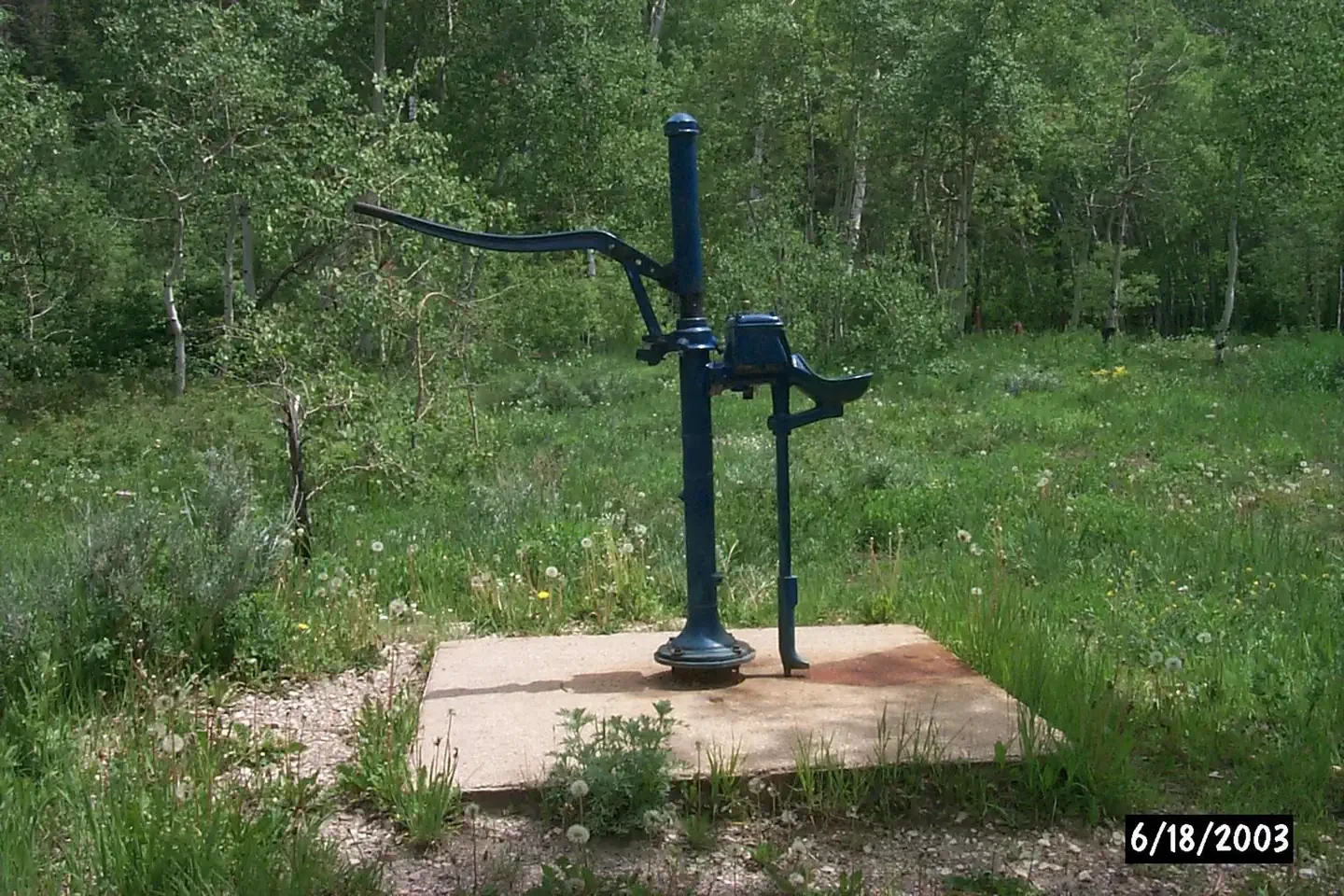French Creek Campground (WY)