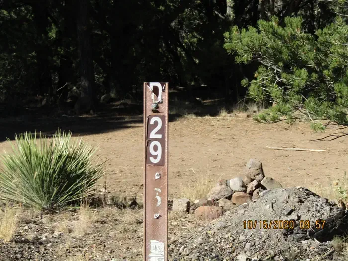 29