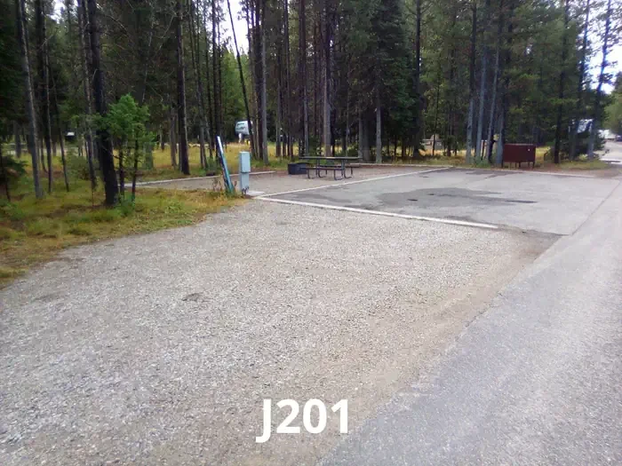 201