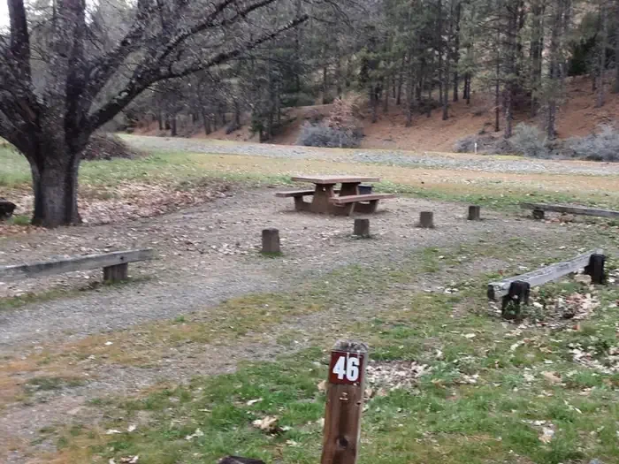 46