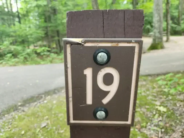 19
