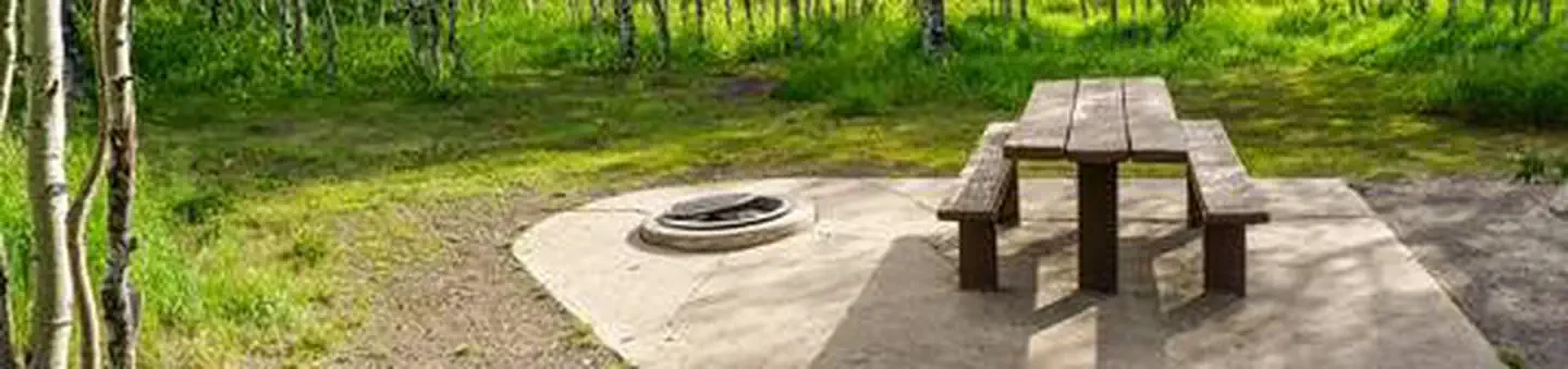 C22