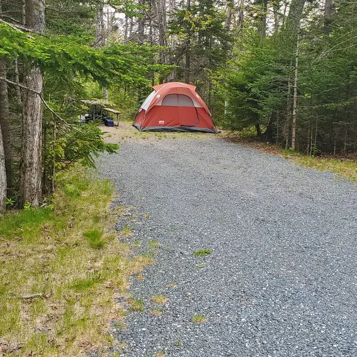 A32
