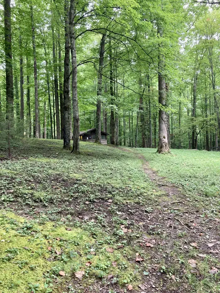 A09