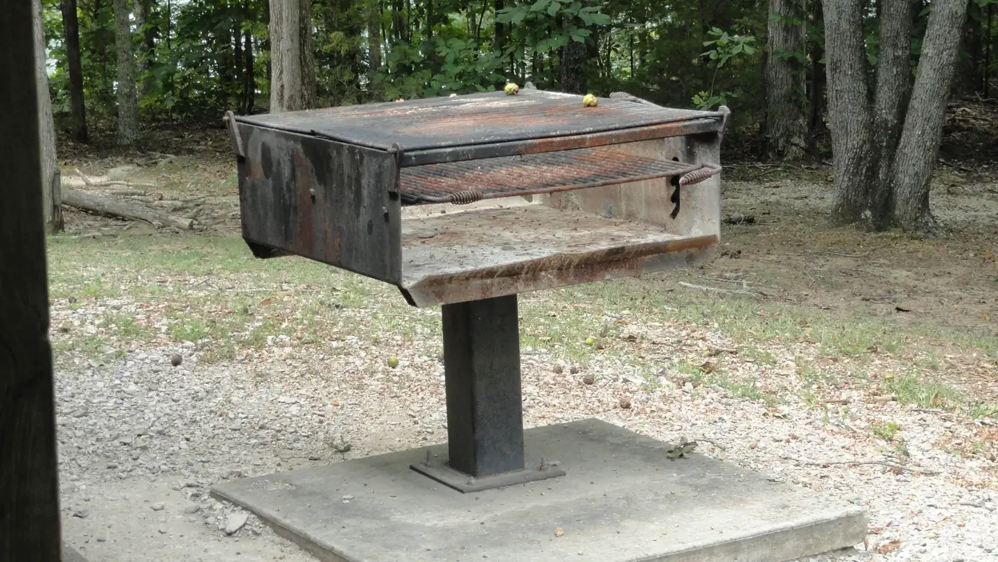 L1-Picnic Shelter