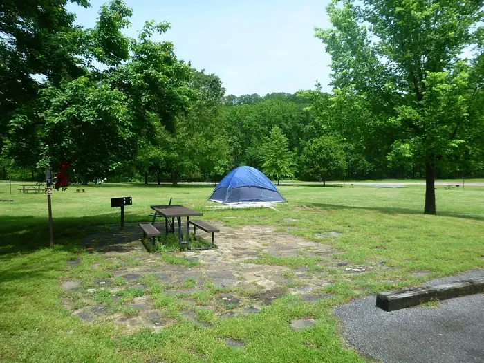Site# 25