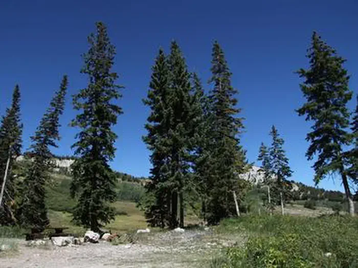 Ferron Reservoir