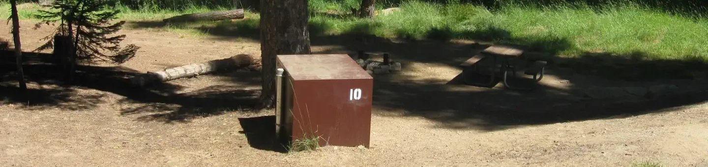 010