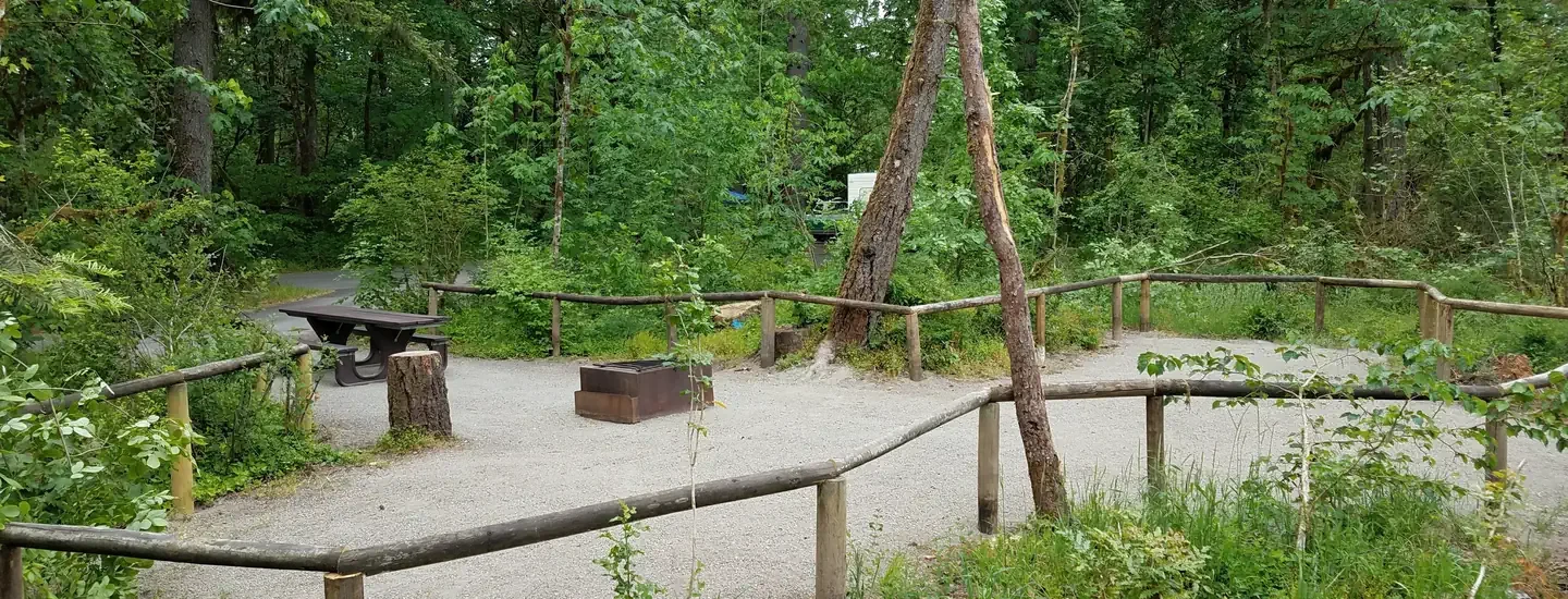 C23