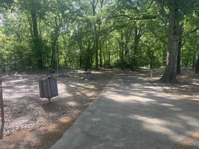 Site 47