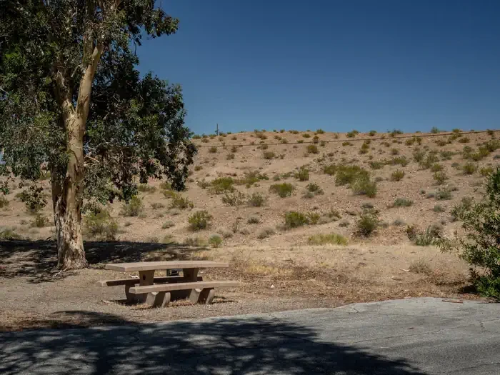 Site 56