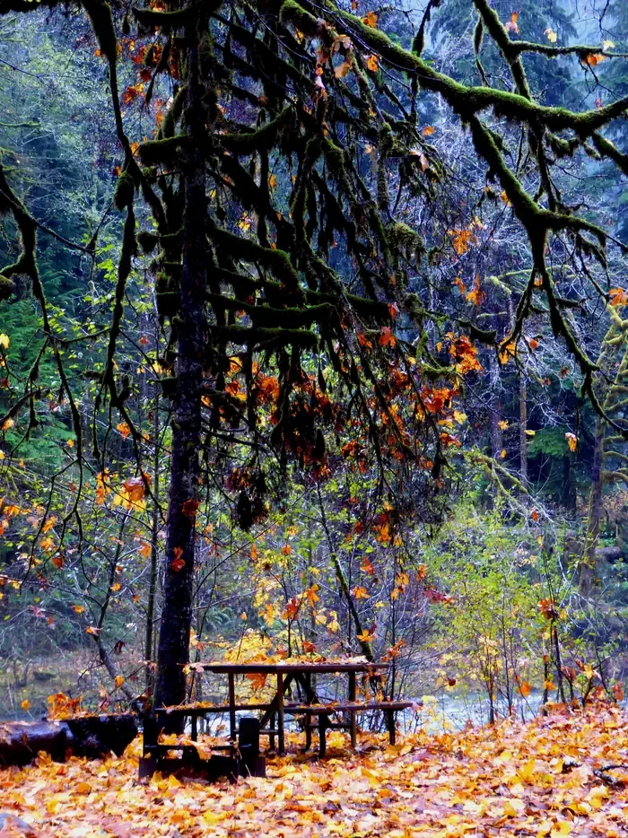 Staircase Campground