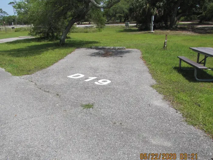 D019
