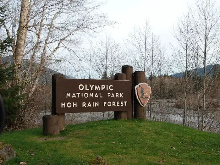 Hoh Rainforest Campground