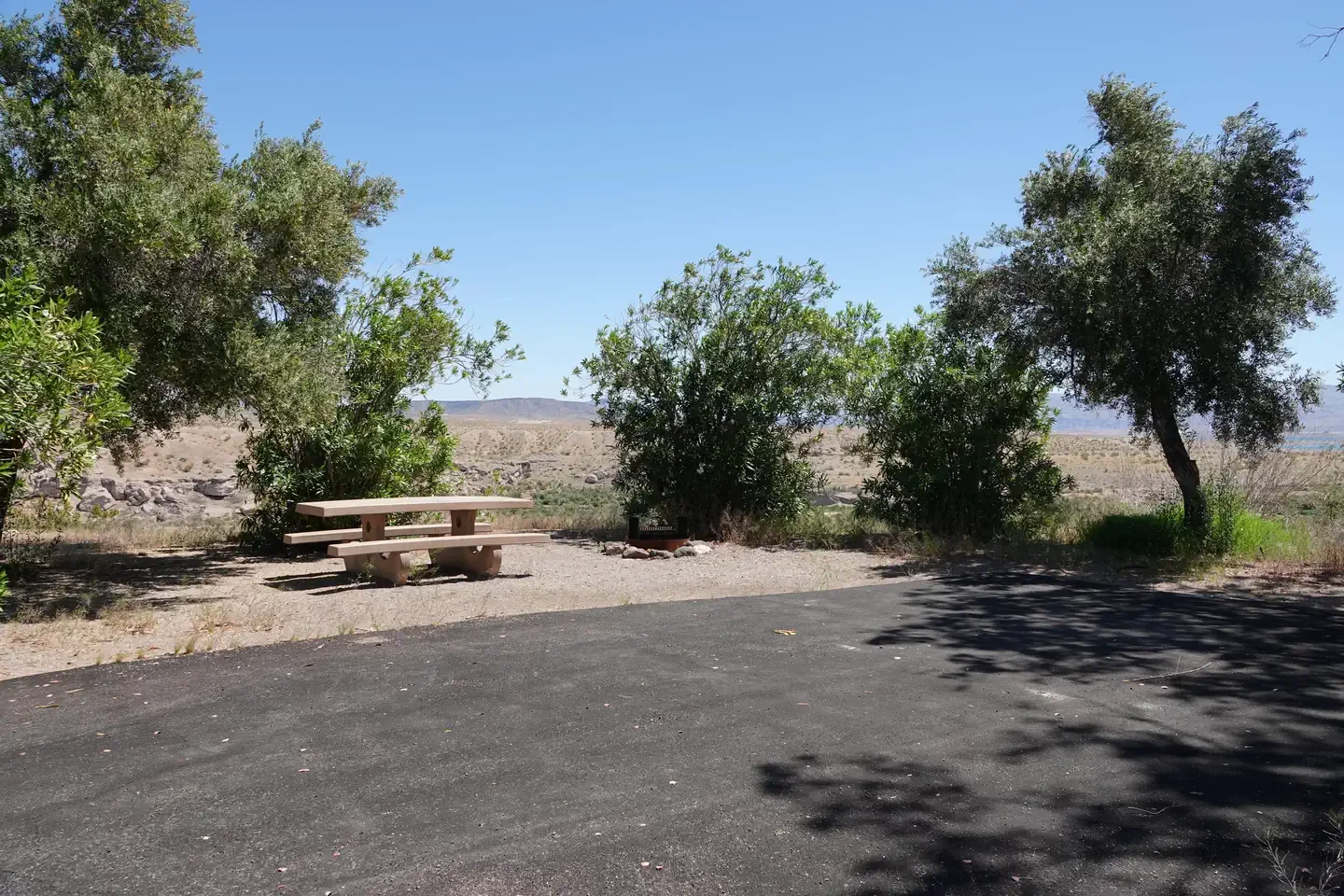 Site 31